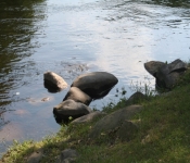 TwoRivers2008 123
